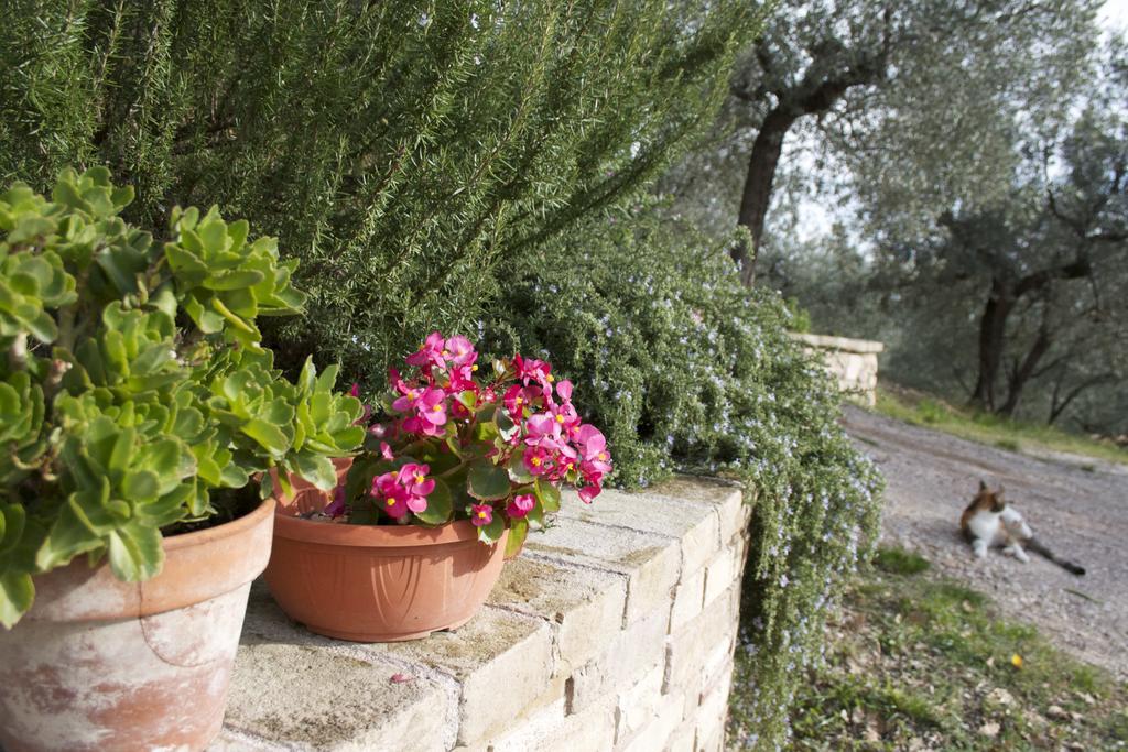 B&B Lavanda e Rosmarino Assisi Exteriör bild