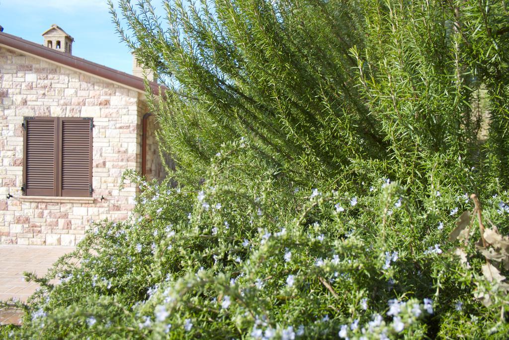 B&B Lavanda e Rosmarino Assisi Exteriör bild