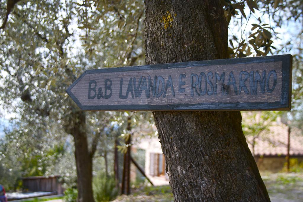 B&B Lavanda e Rosmarino Assisi Exteriör bild
