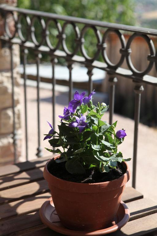 B&B Lavanda e Rosmarino Assisi Exteriör bild