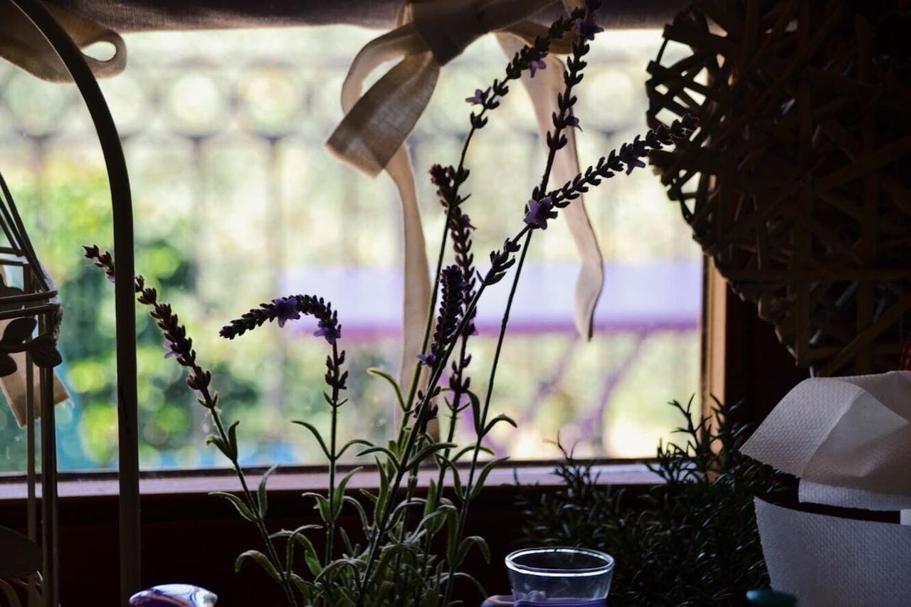 B&B Lavanda e Rosmarino Assisi Exteriör bild